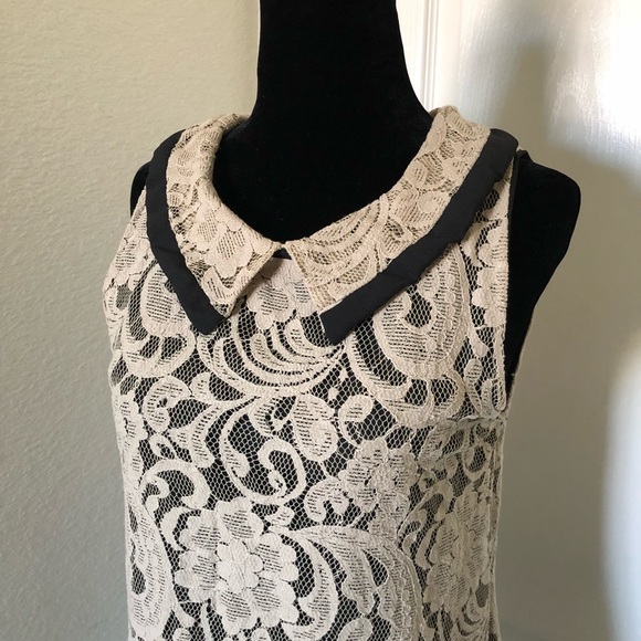Lace Collared Top - Picture 2 of 5